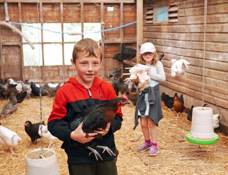 Bournemouth young carers enjoy a post-lockdown day of farmyard fun ...